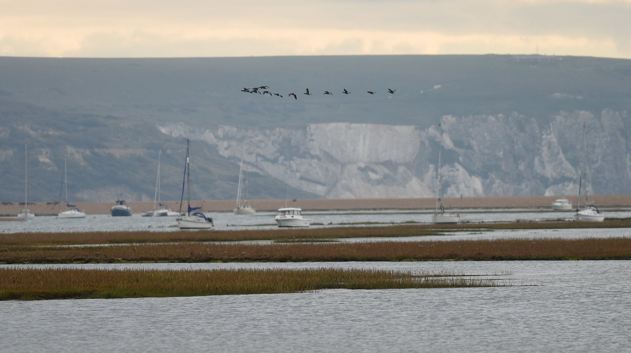 Birds fly across Keyhaven marshes