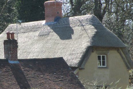 Thatched cottage 3