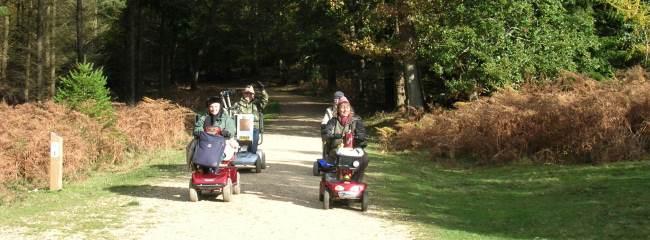 New Forest Theme Parks - Visit the New Forest