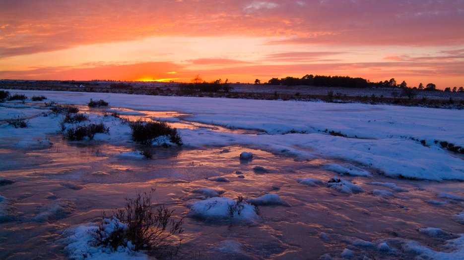 Frozen_landscape_at_Pootles_Bridge__Brockenhurst