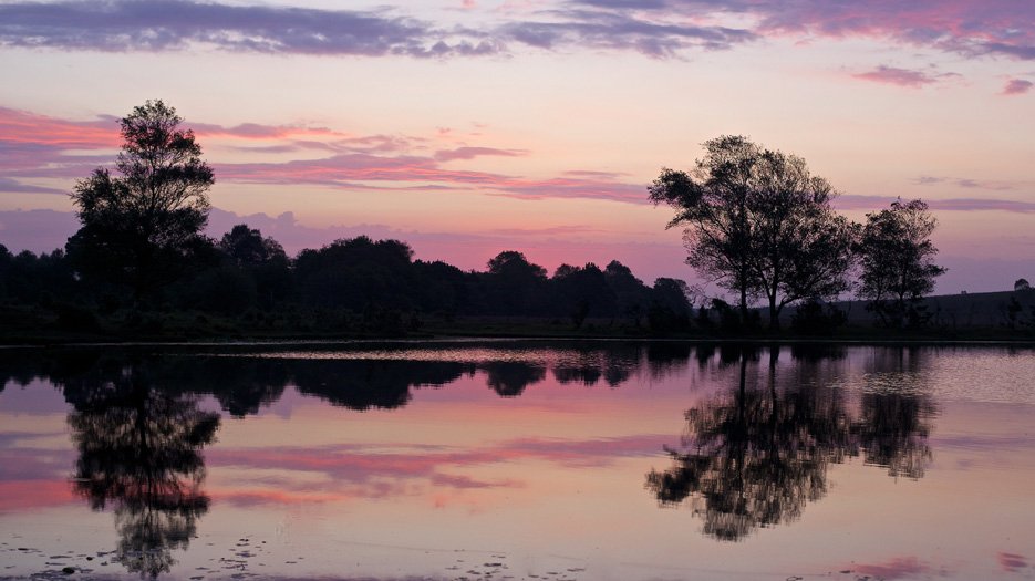 _Sunrise__over_Whitten_Pond