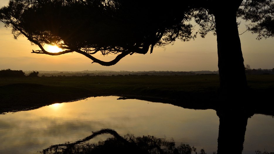 Sunset_near_Pootles_Bridge__Brockenhurst