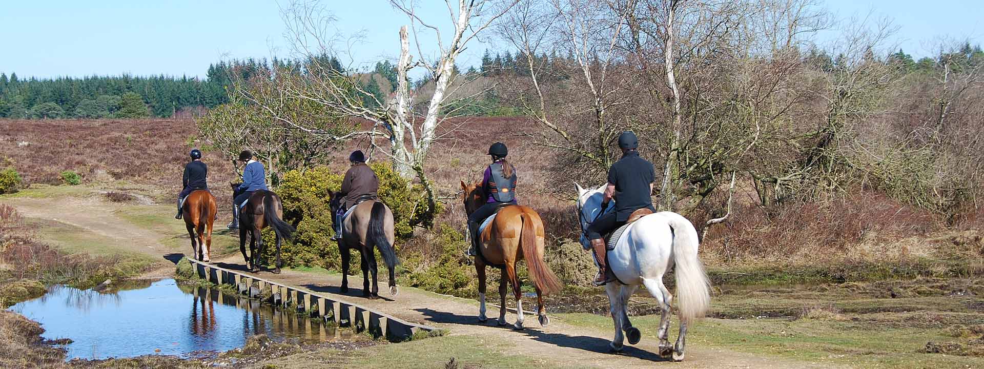 Horse riding New Forest National Park Authority