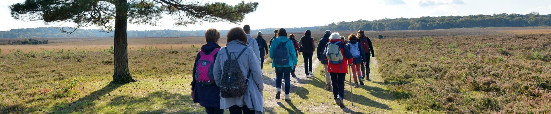 New Forest Walking Festival