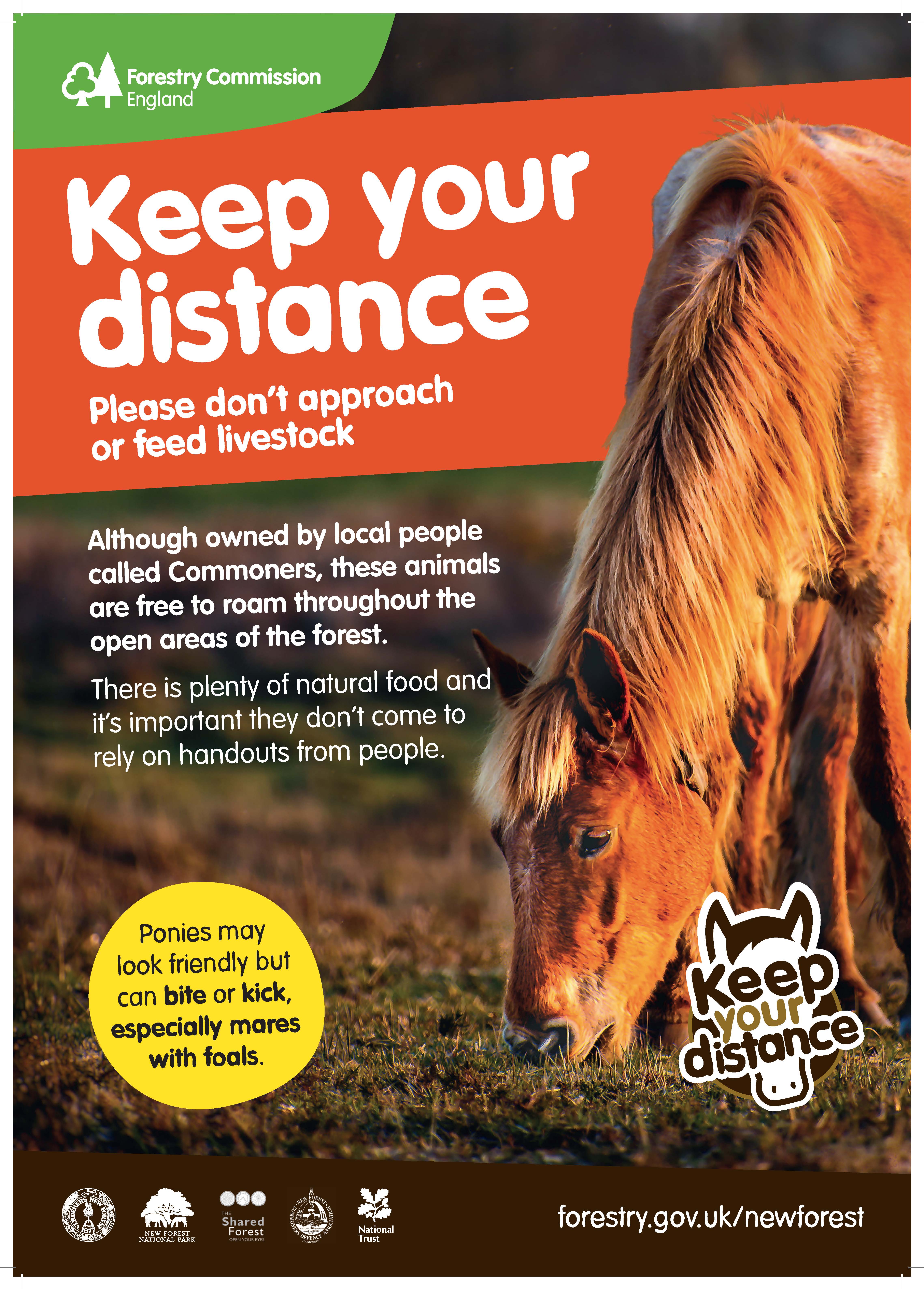 Keep Your Distance poster
