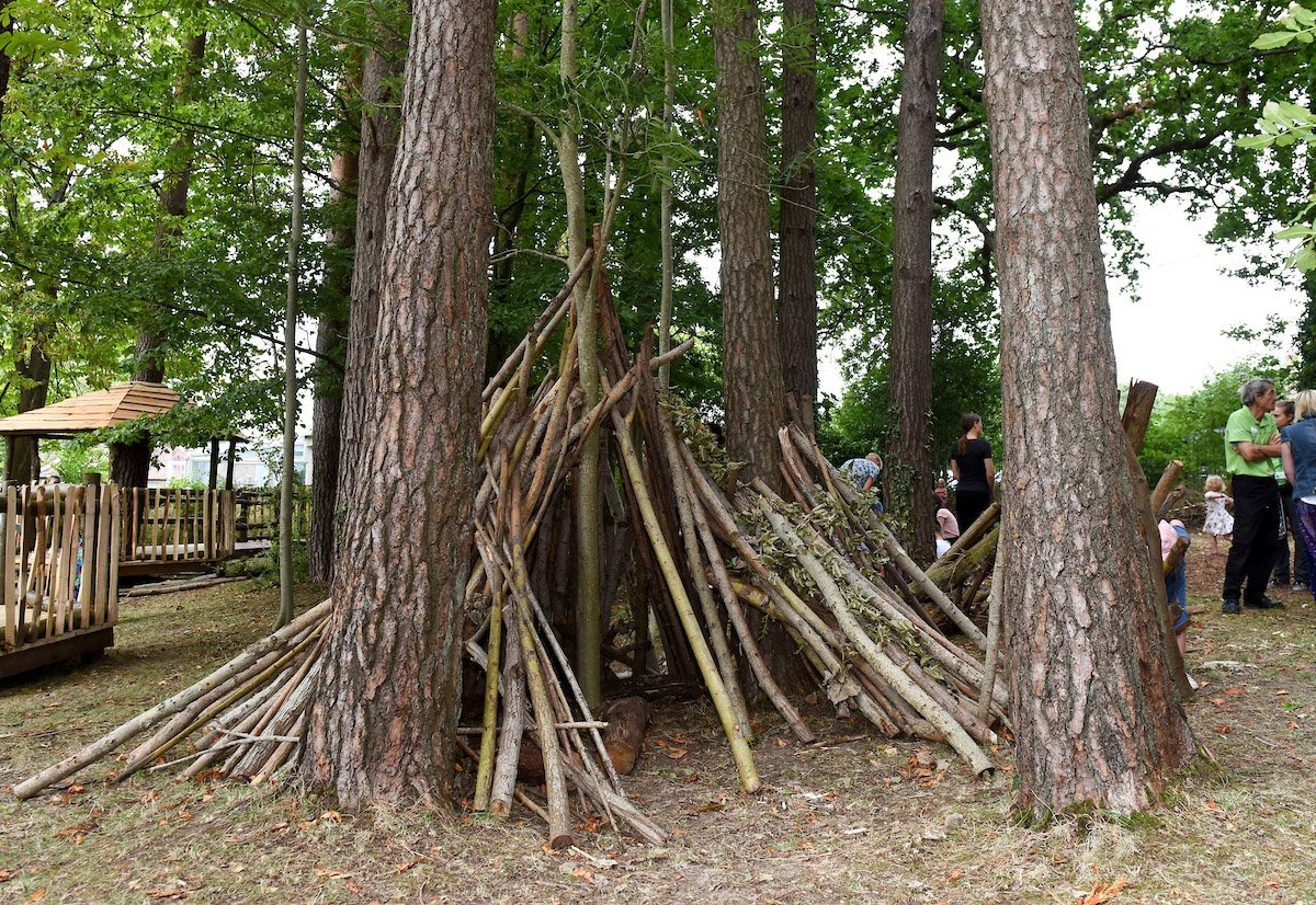 Ashurst Wild Play site Ashurst Wild Play site
