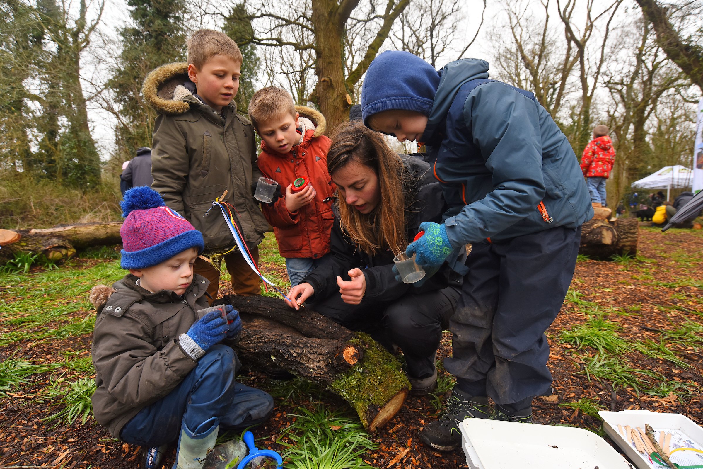 Bug hunting at the Holbury Manor wild play site opening April 2018