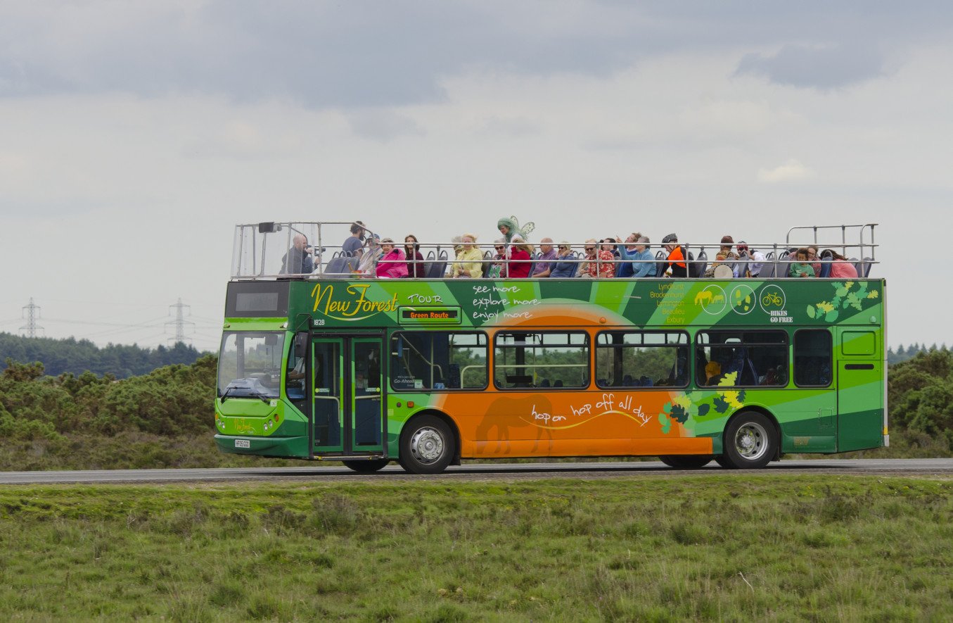 open tour bus new forest