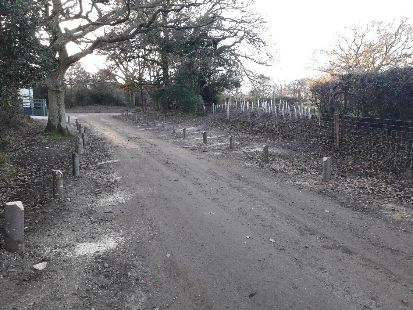 New dragons teeth installed, with a newly planted hedge in the back ground completed by the Better Boundaries project