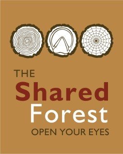Shared Forest logo Shared Forest logo
