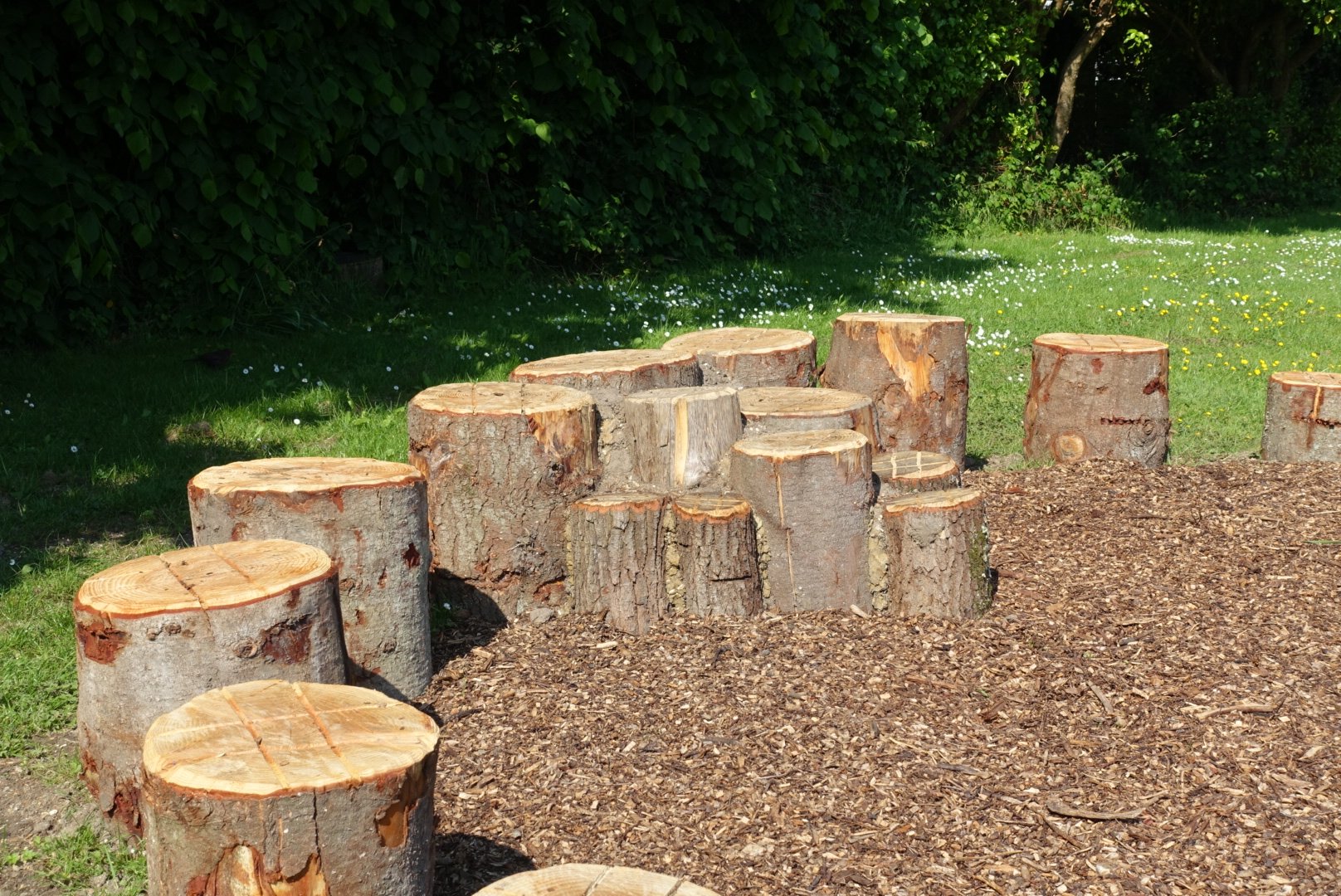 Sway wild play site logs Sway wild play site logs