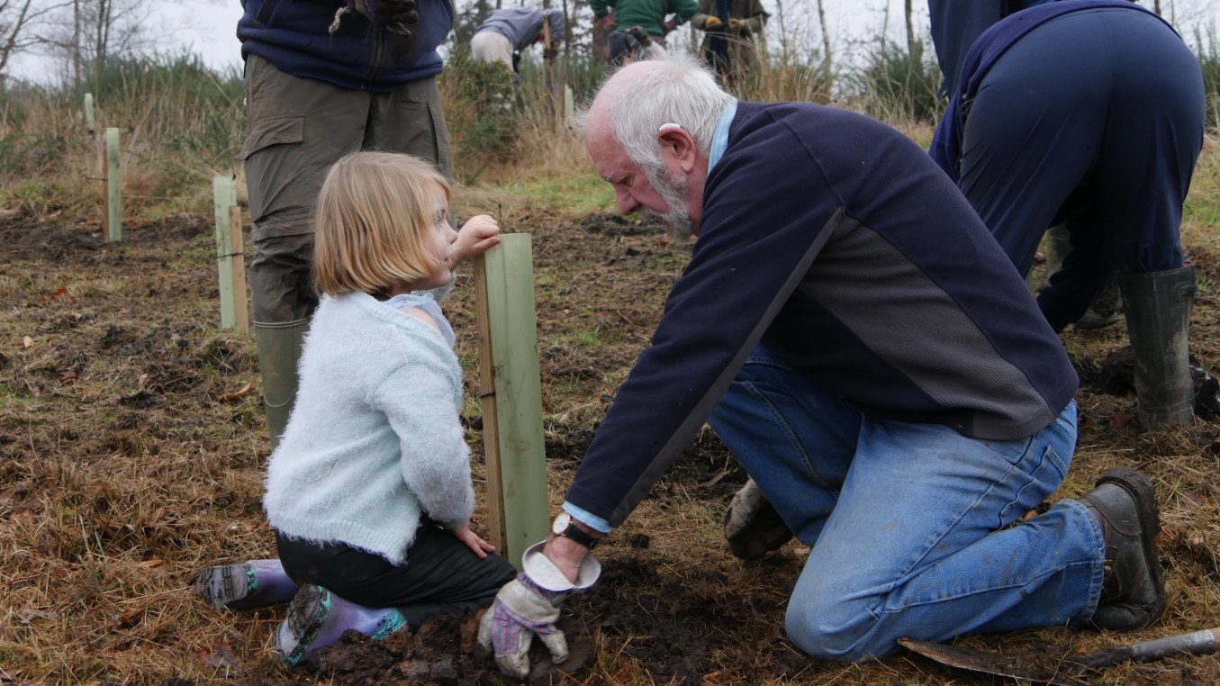 A man helps a young girl plant a tree sapling