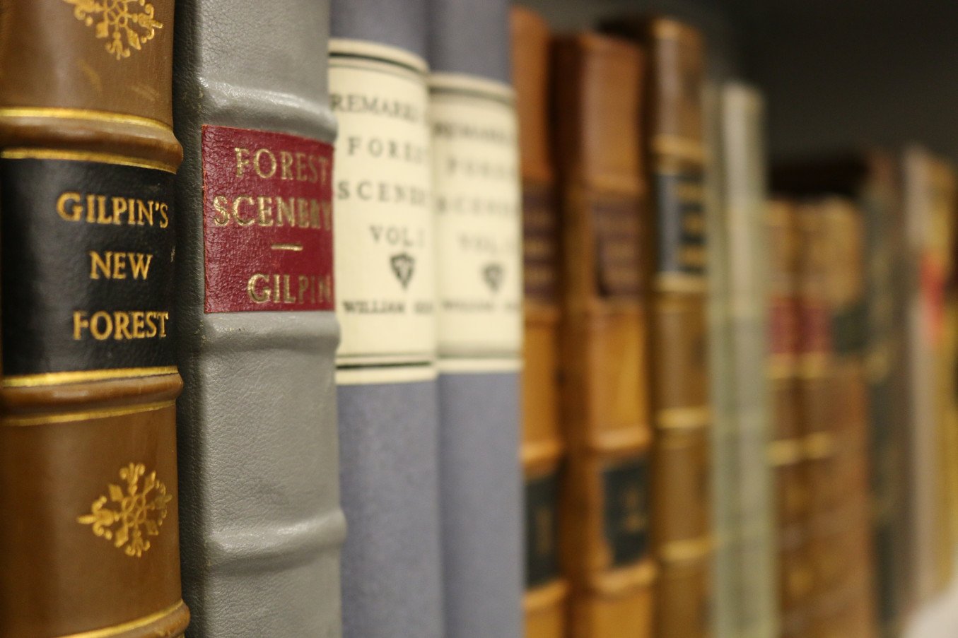 A row of book spines