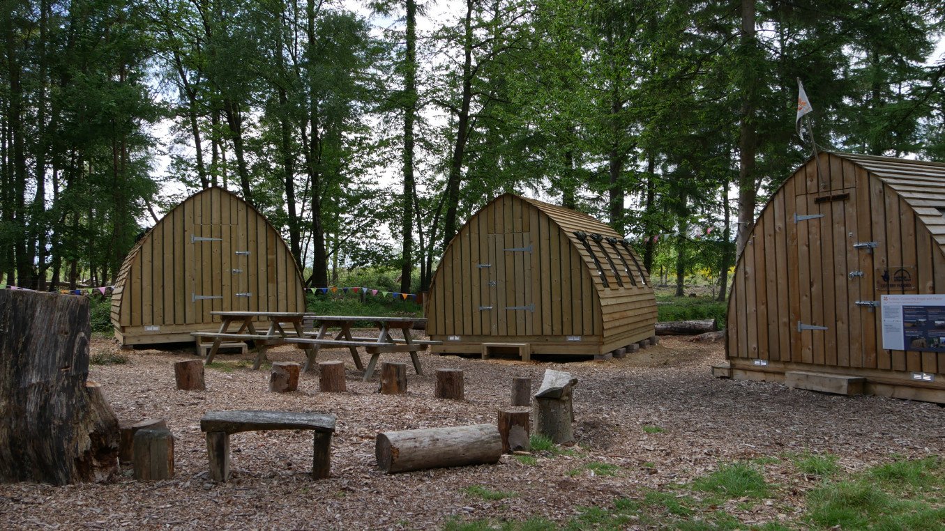 Wood cabins and seating in a woodland scene