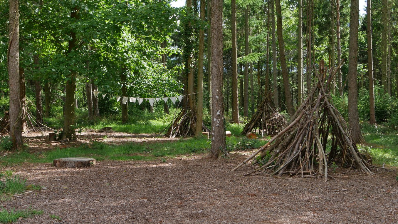 sticks and logs form little makeshift cabins in a woodland scene