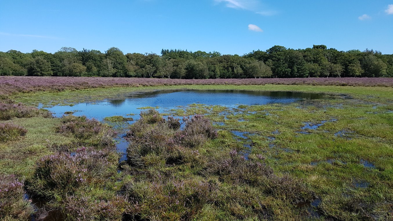 Starpole Pond, near Beaulieu