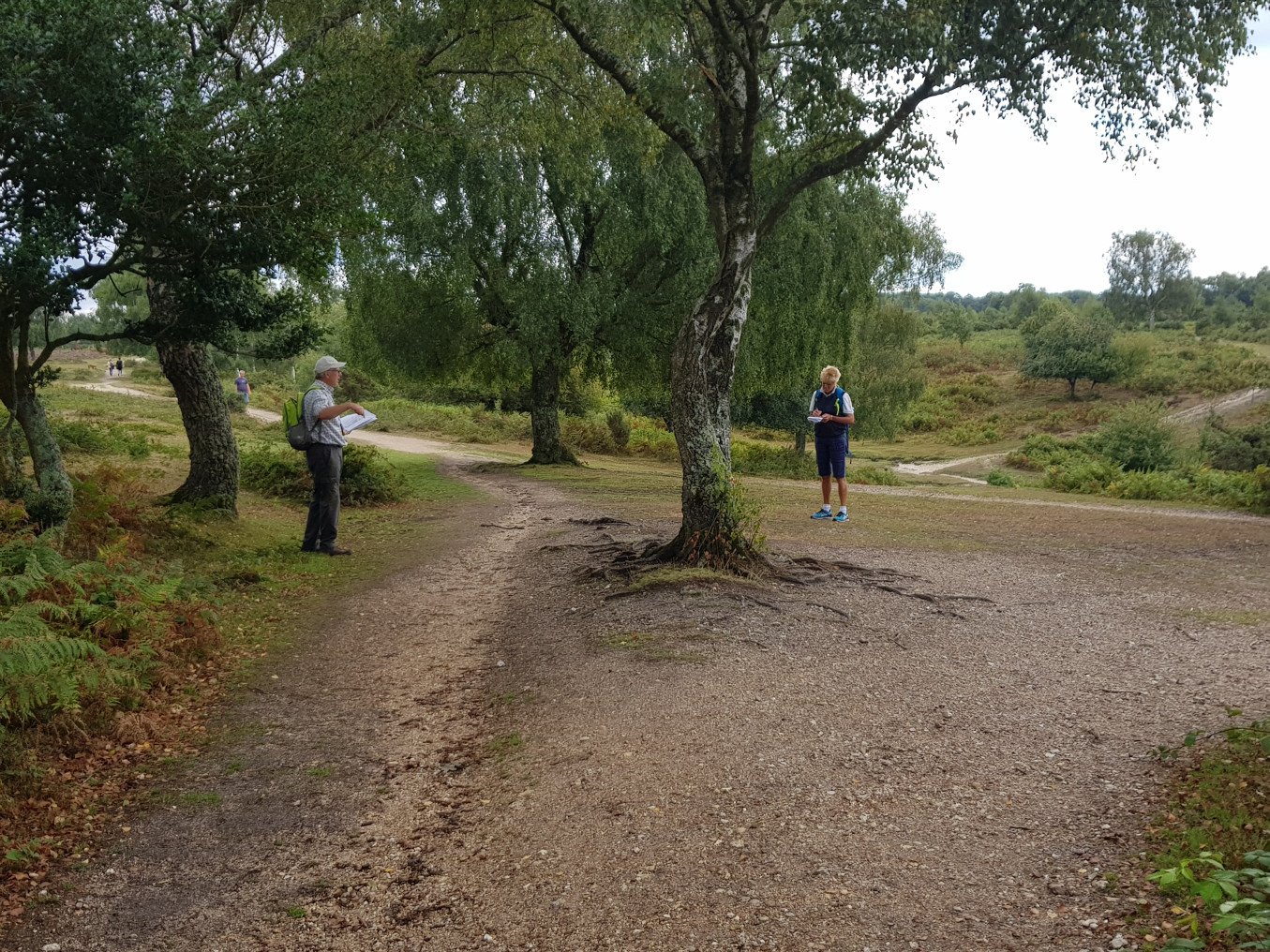 Volunteers recording and mapping rights of way in the Forest