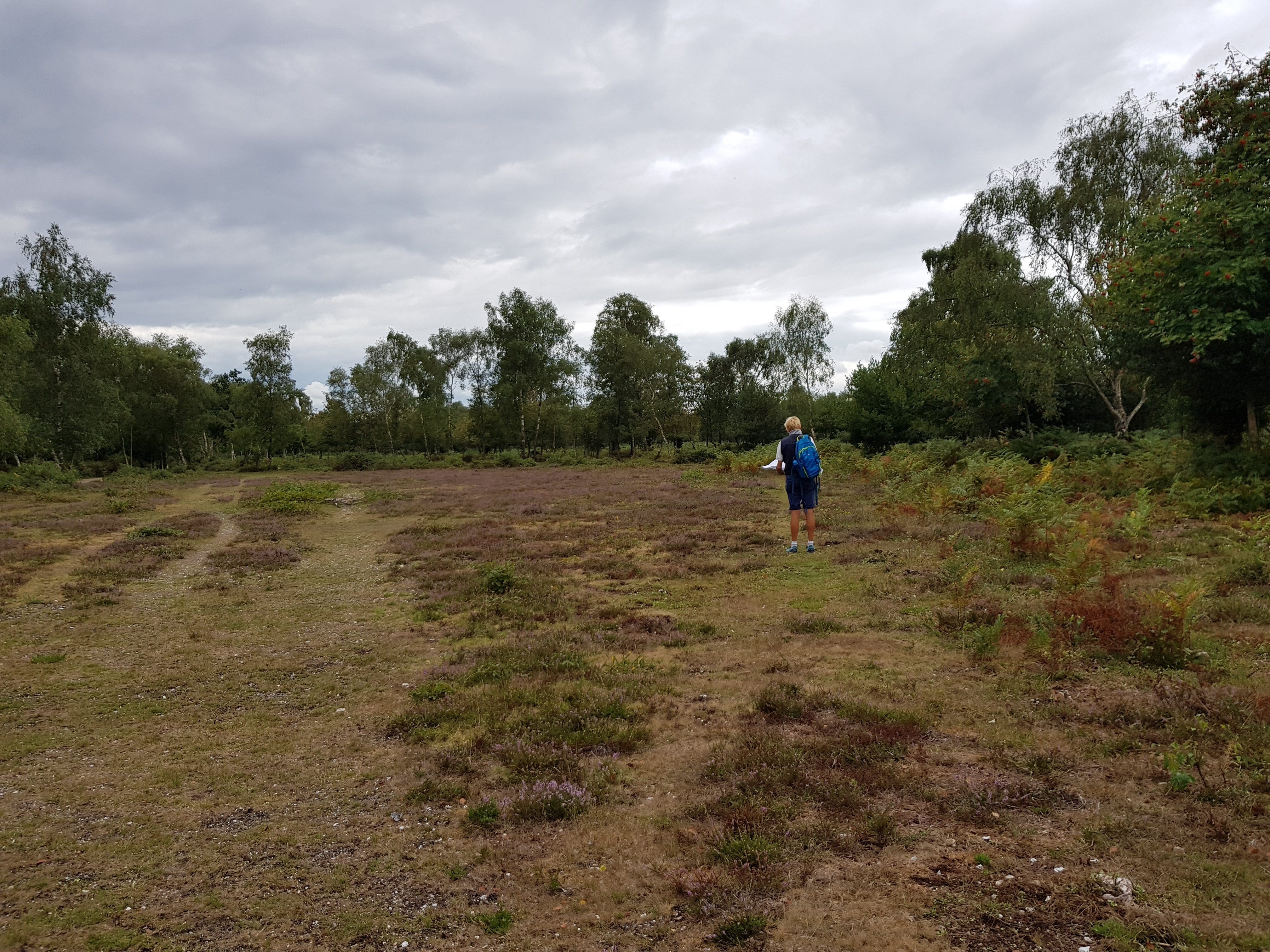 Volunteers recording historic rights of way in the Forest