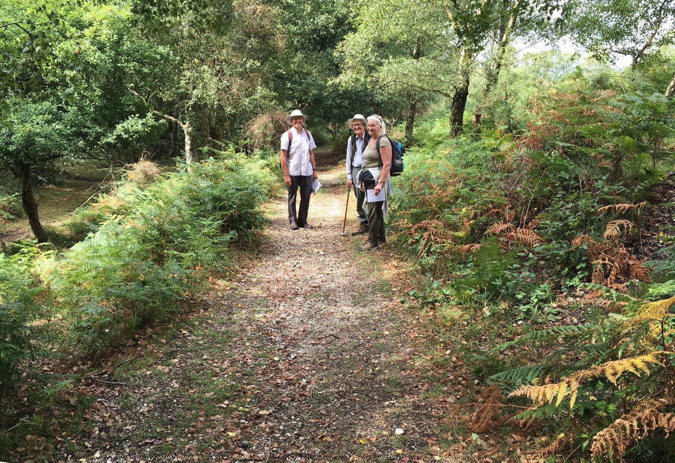 Volunteers recording rights of way in the Forest Volunteers recording rights of way in the Forest