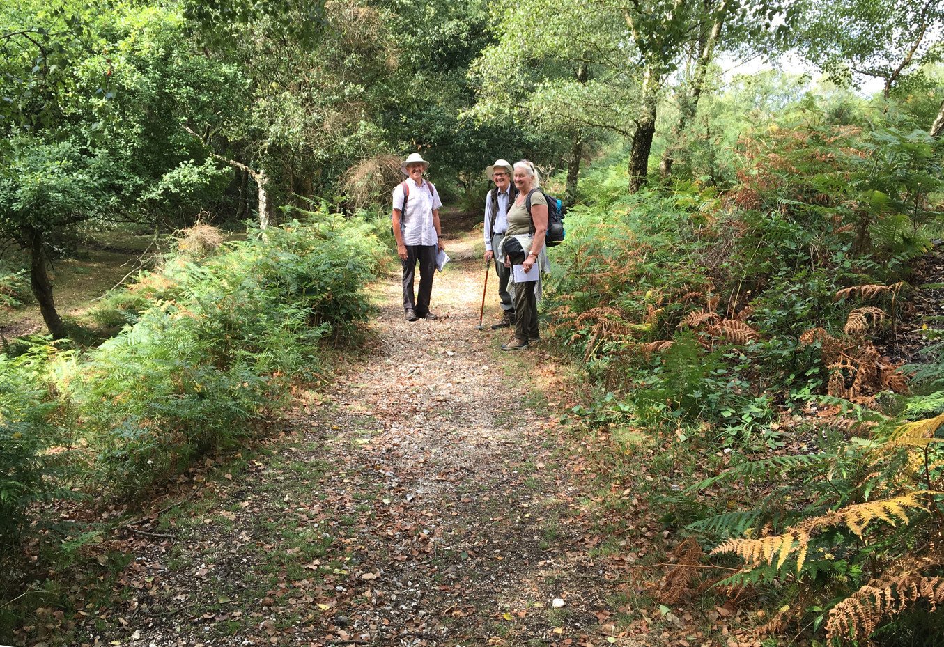 Volunteers recording rights of way in the Forest