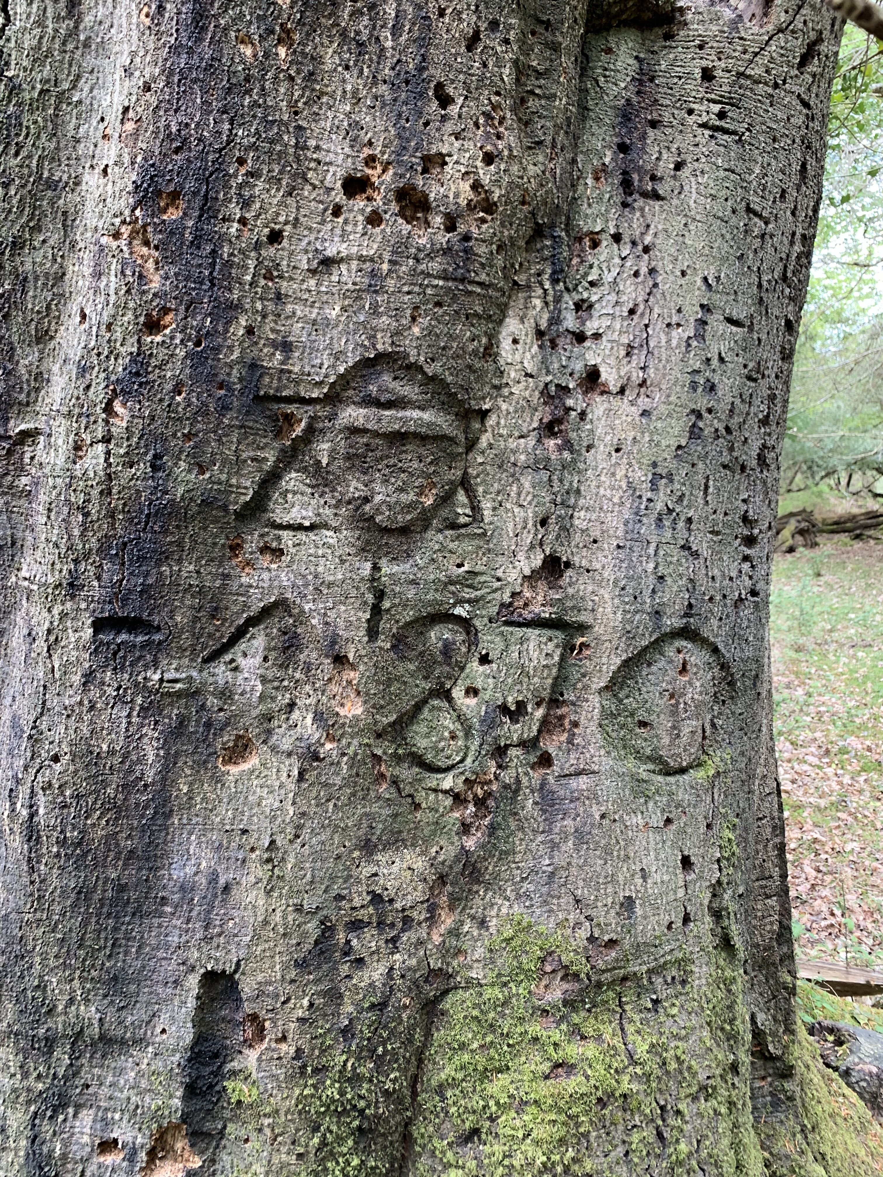 1870 graffiti