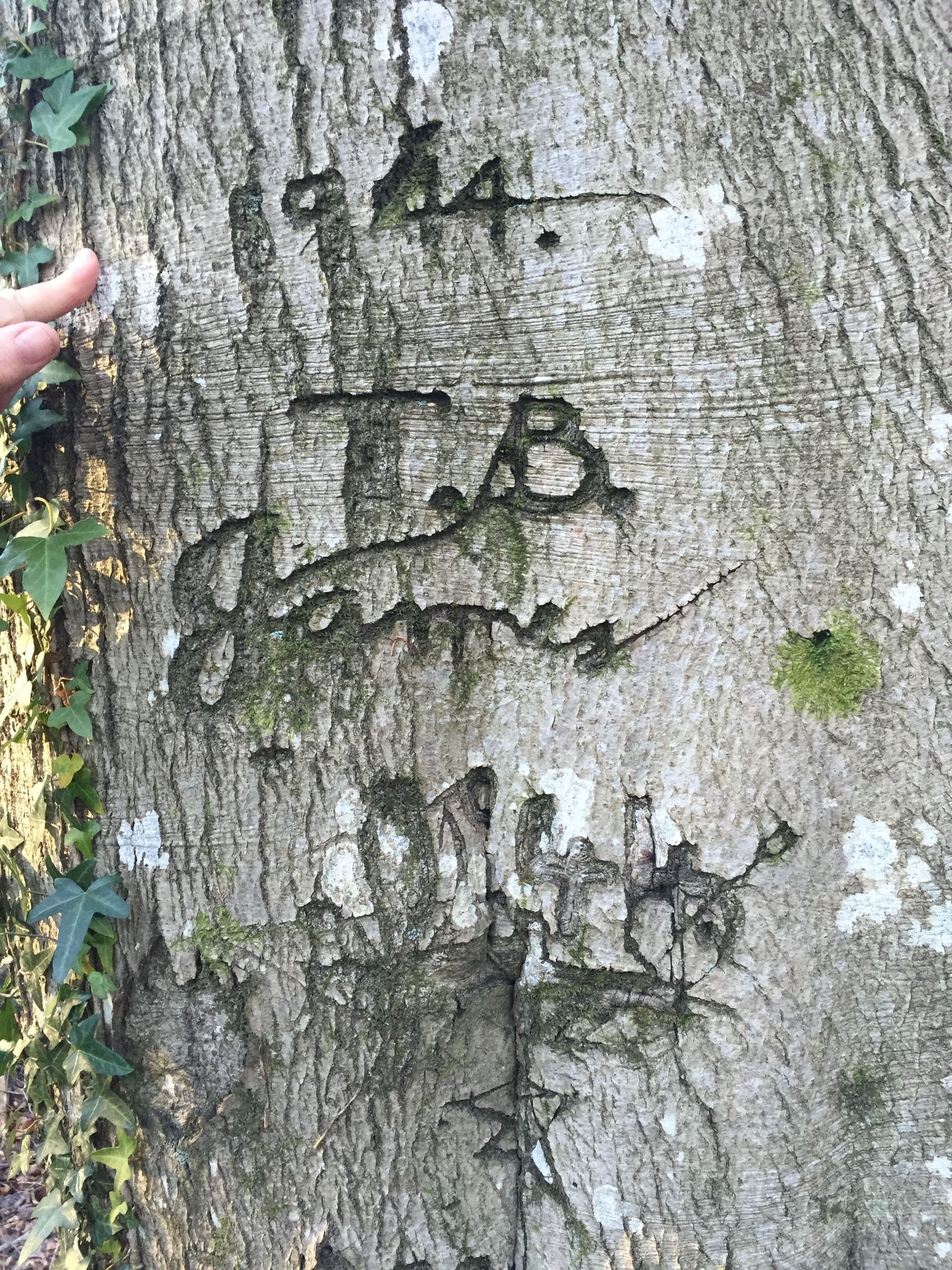 WW2 graffiti WW2 graffiti