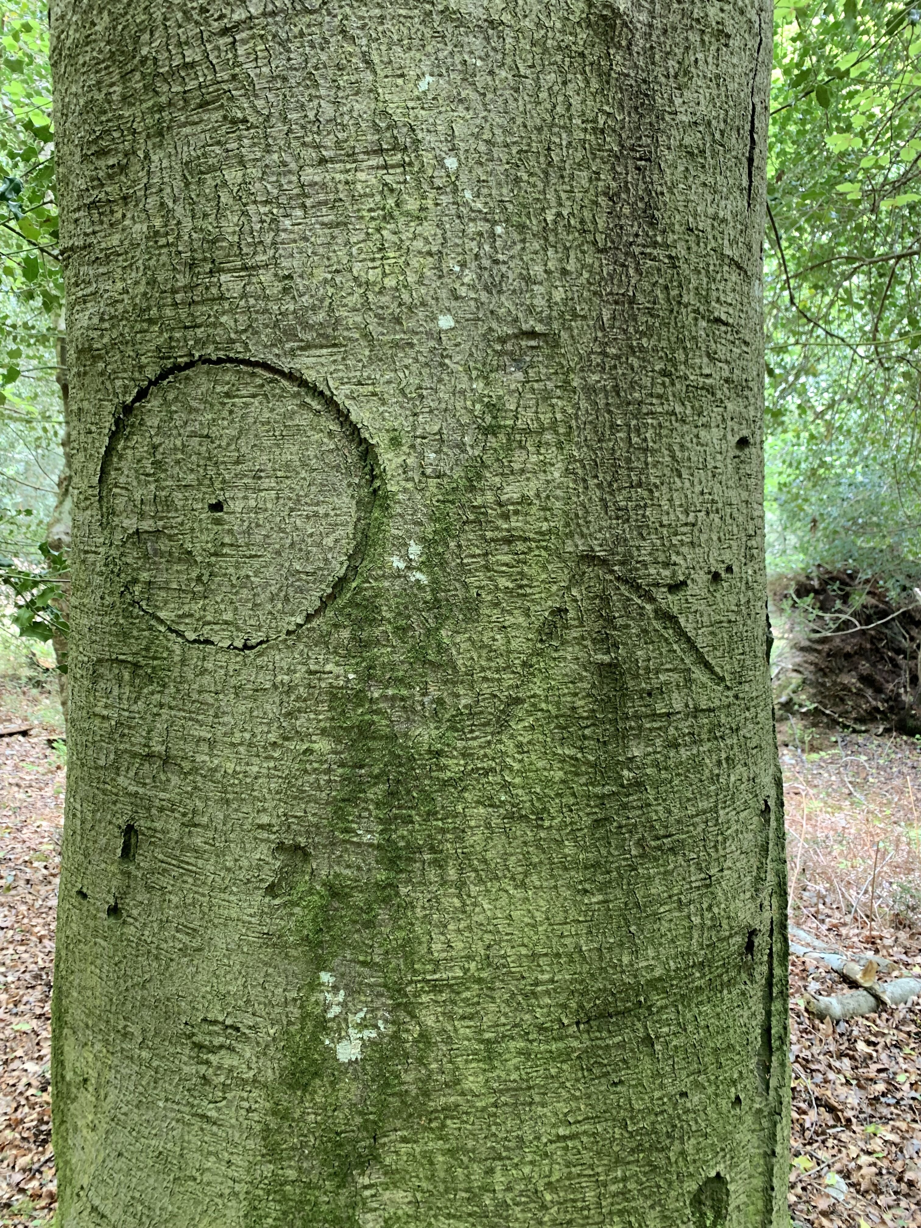 Witch's mark Witch's mark