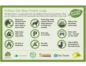 Infographic of New Forest Code