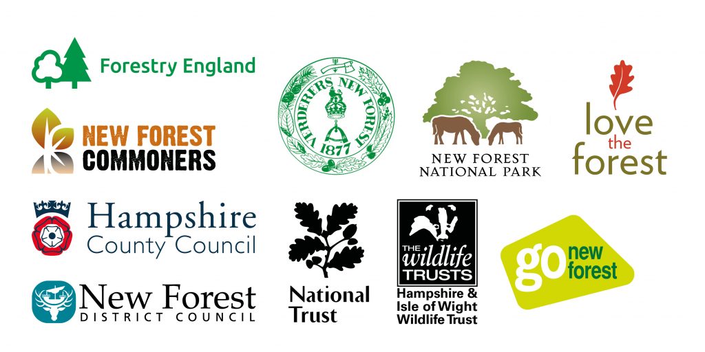 Logos for New Forest National Park Authority, Verderers New Forest, Forestry England, Go New Forest, New Forest Commoners, New Forest District Council, Hampshire County Council, National Trust, Hampshire and Isle of Wight Wildlife Trust.