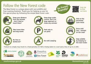 New Forest Code