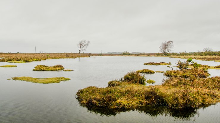 A lake with grassy islands dotted about it