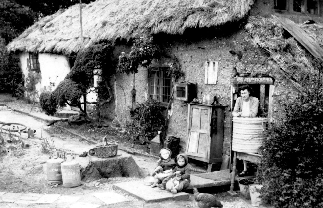 Bog Cottage