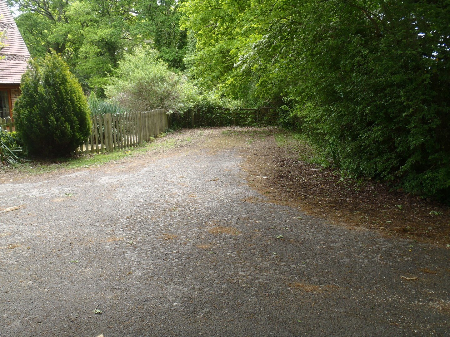 View of a road partially reclaimed by undergrowth and trees