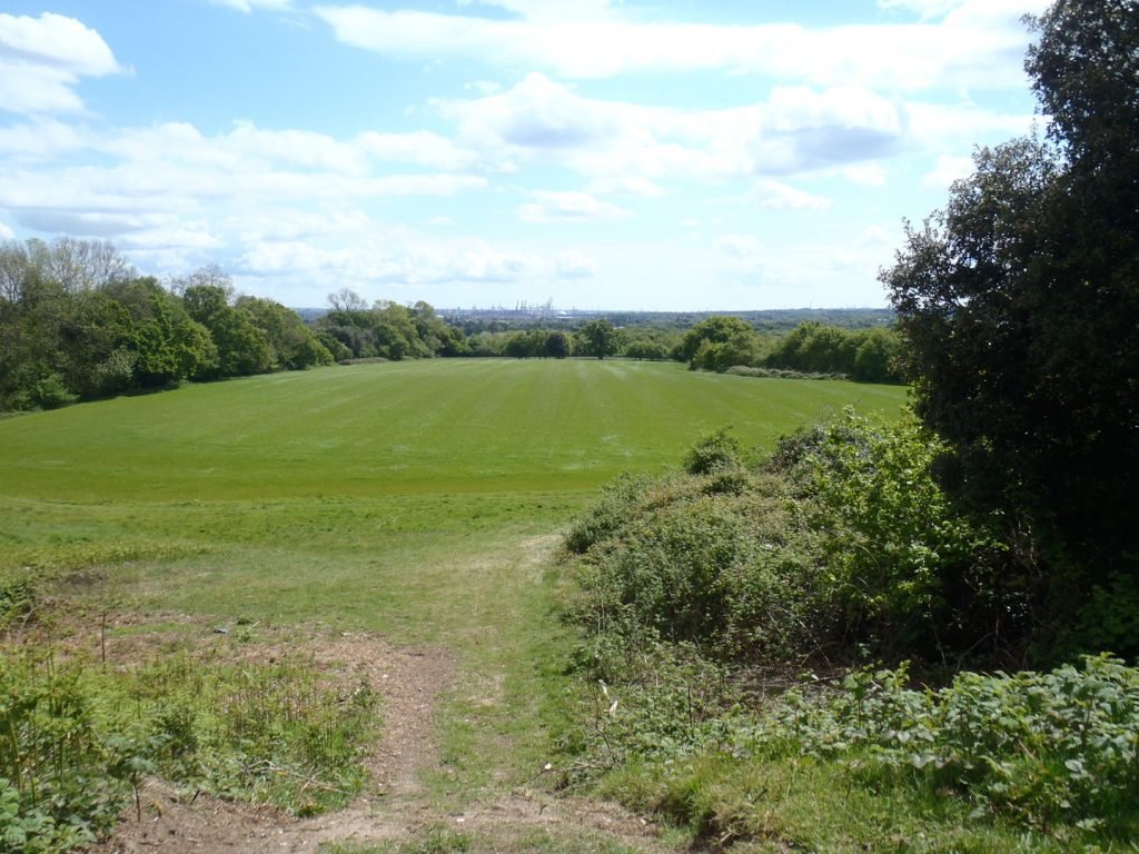 Green grassy field and hedgerows