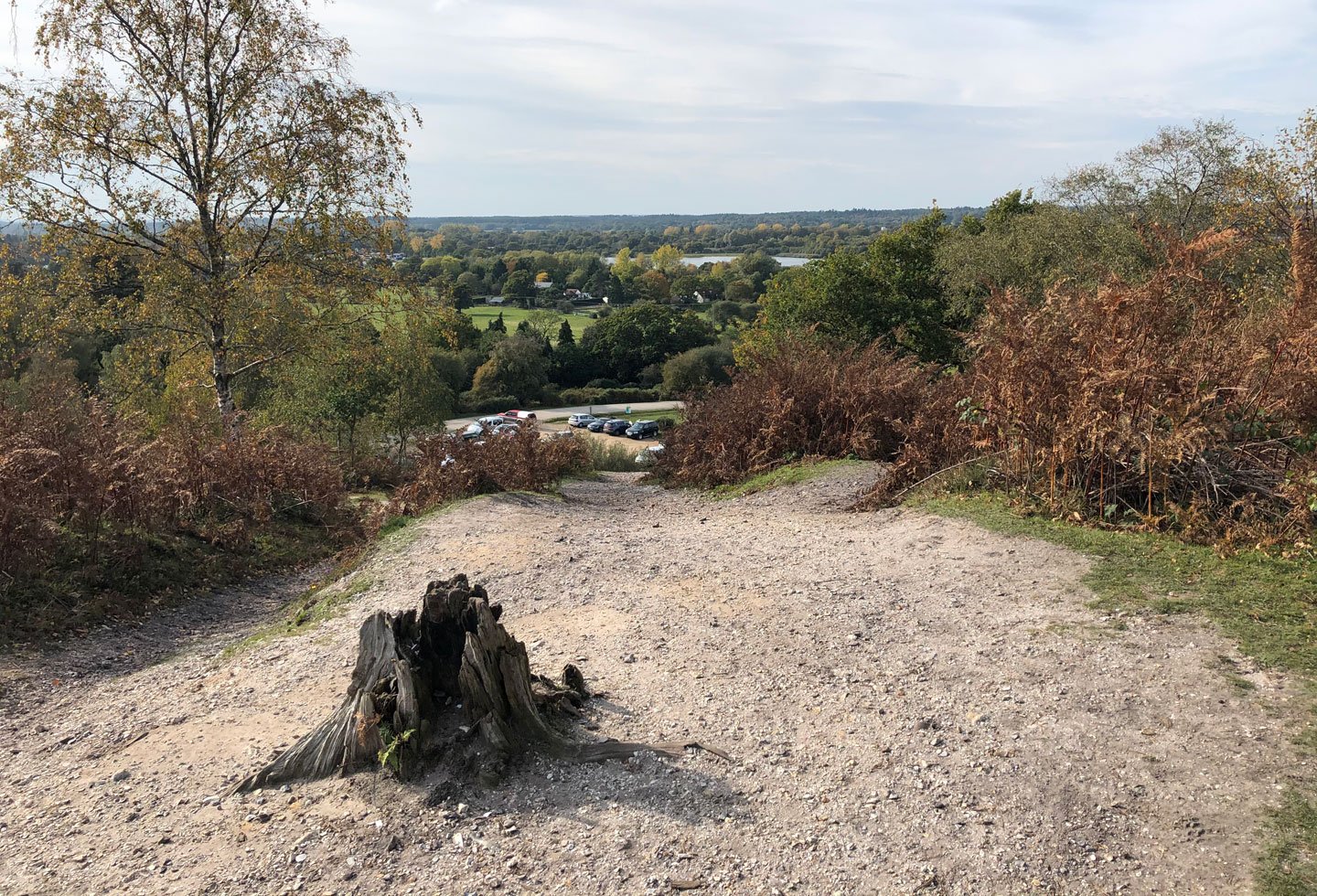 Sandy bank with view across trees