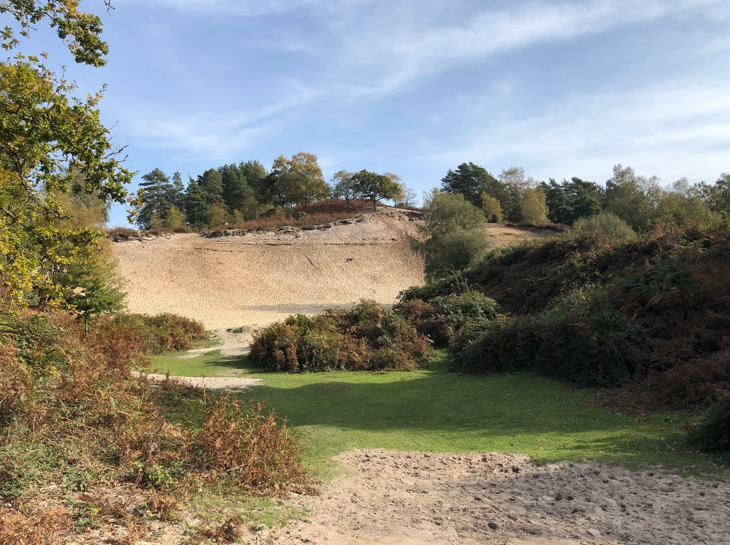 Tall sandy bank with trees around