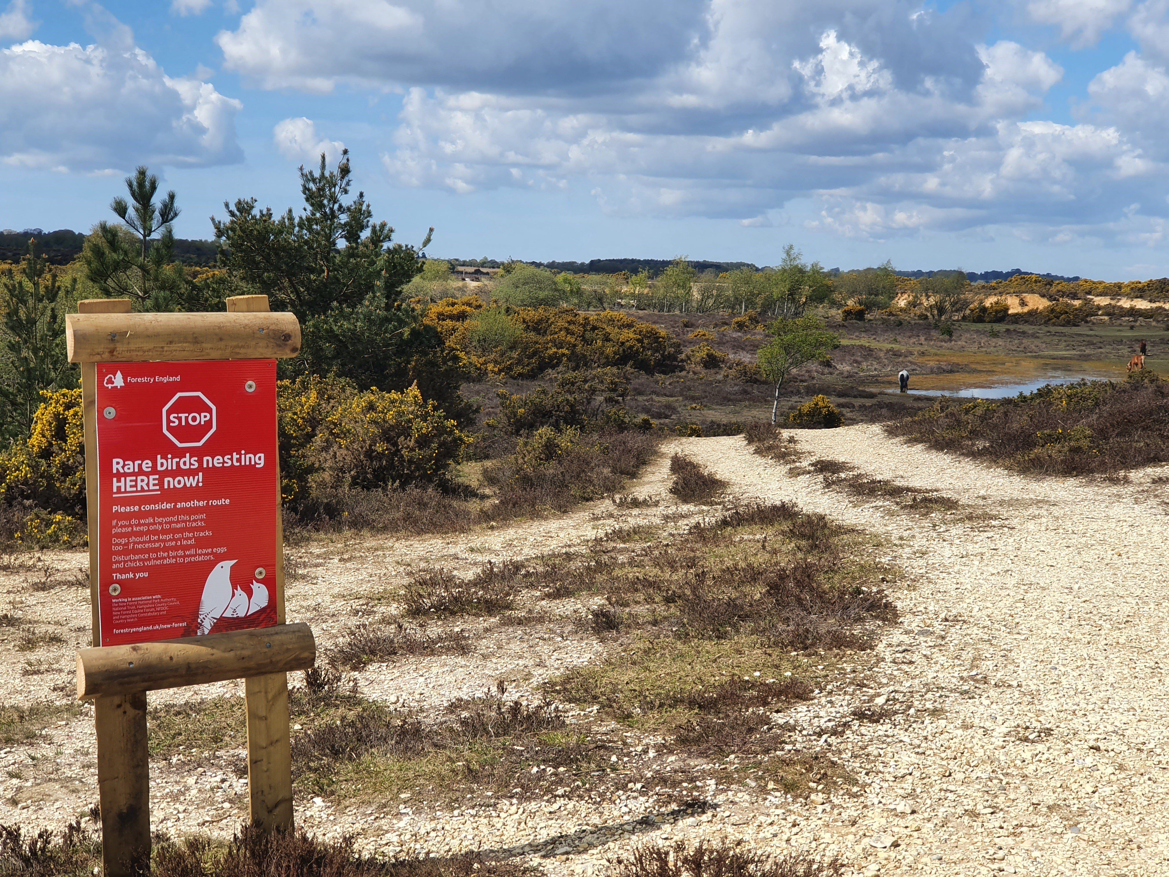 Ground nesting bird patrol view with the red signs