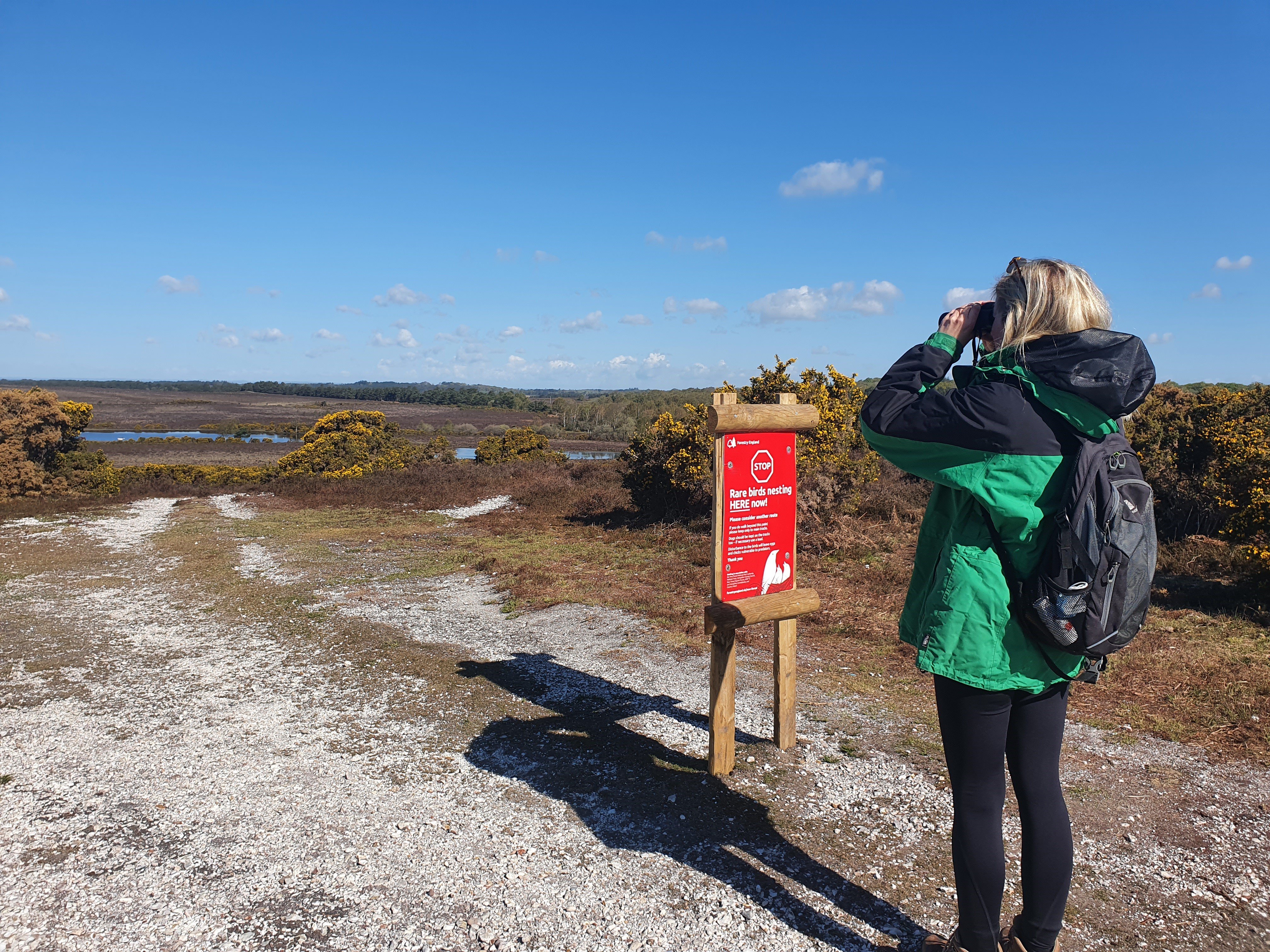 Ground nesting bird patrols partnering with Forestry England GNB patrol with FE