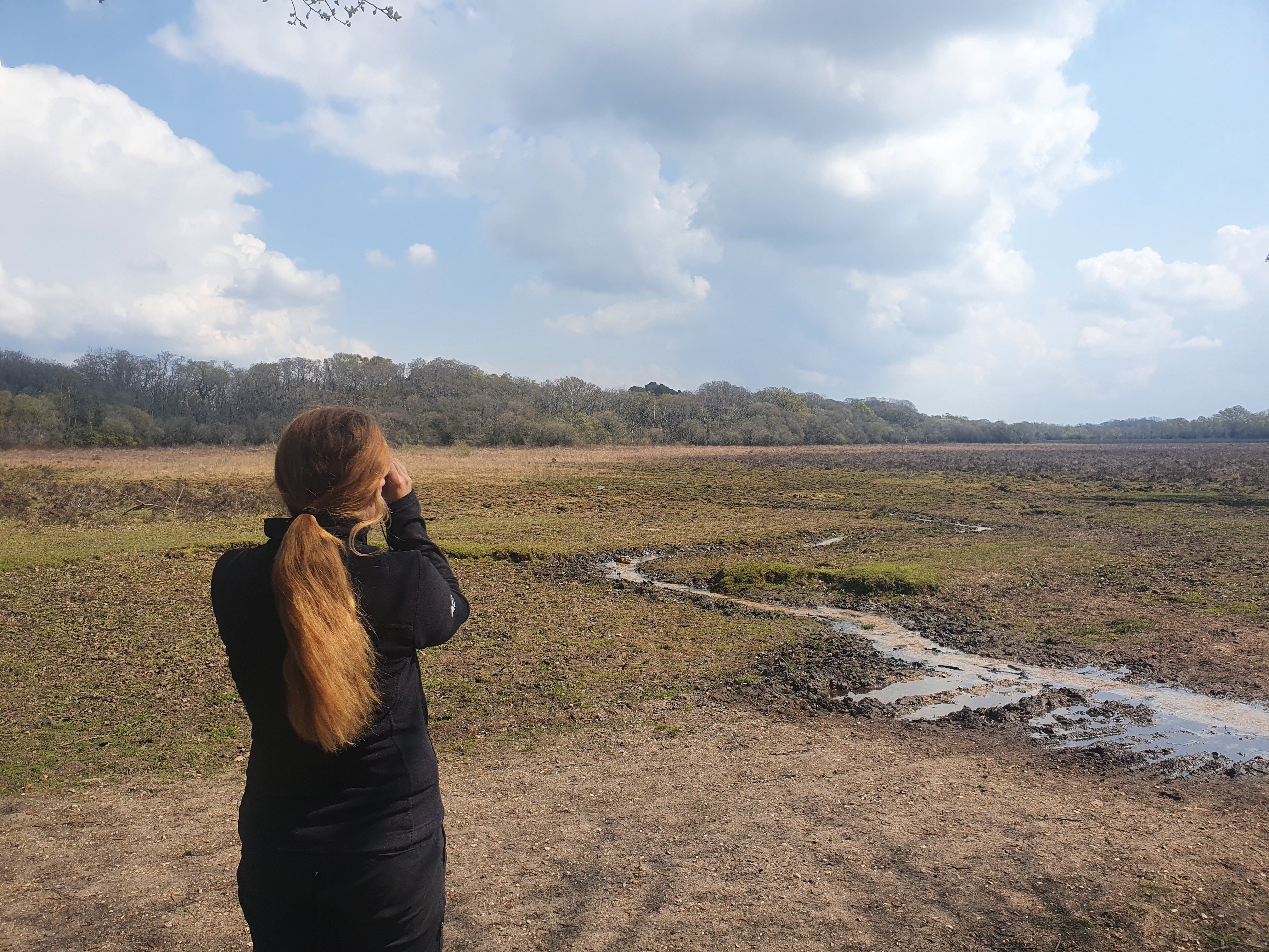 New Forest National Park rangers out on patrol looking for lapwings GNB patrol with Hayden