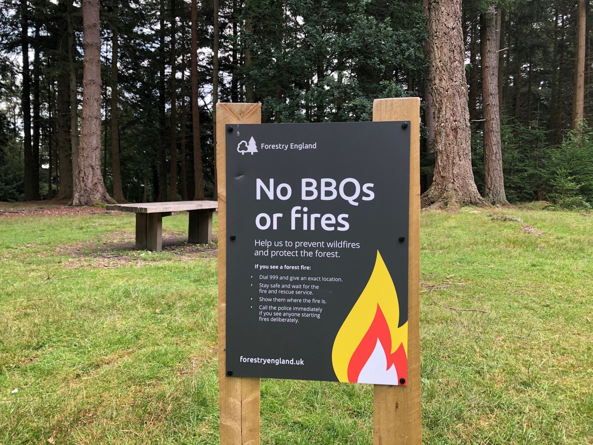No fires sign in the New Forest No fires sign in the New Forest