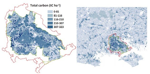 map showing where the New Forest has the best carbon stores