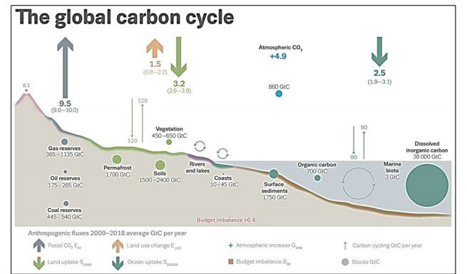 graph showing the global carbon cycle