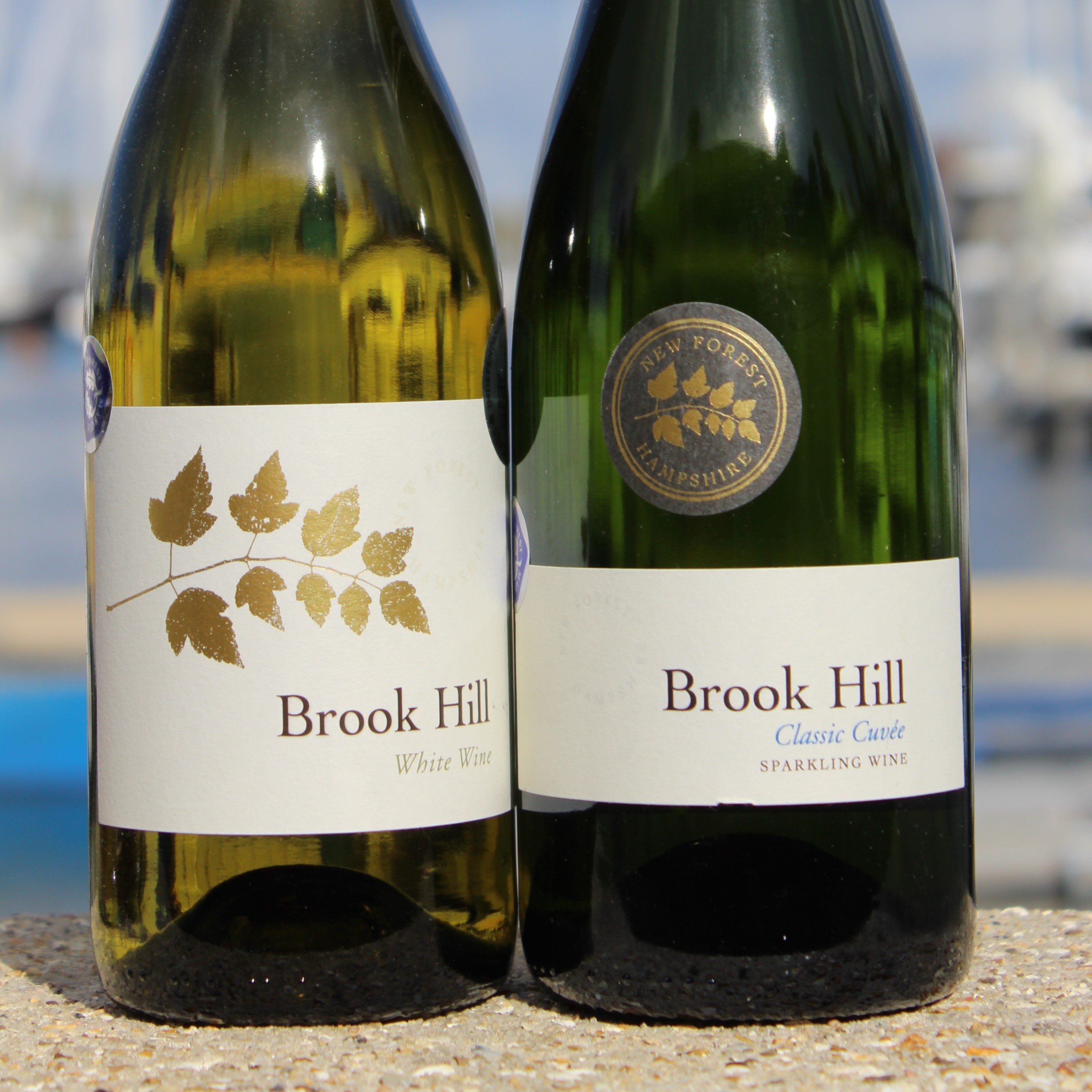 Brook Hill Vineyard Two bottles of wine