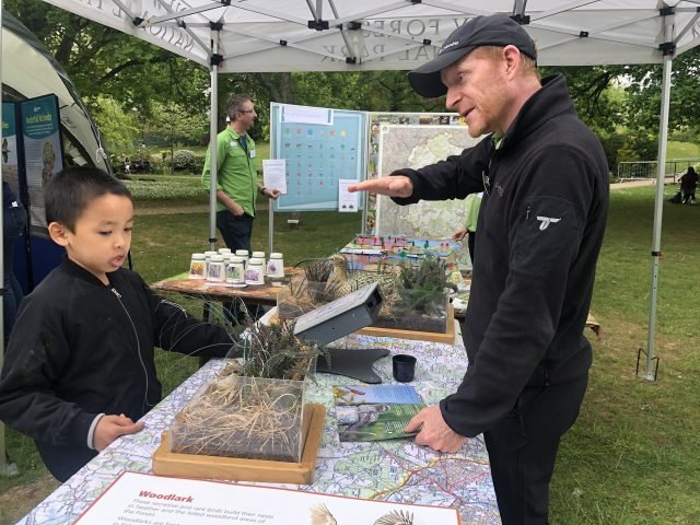 Jim Mitchell in National Park black uniform talking to a young boy about the New Forest wildlife