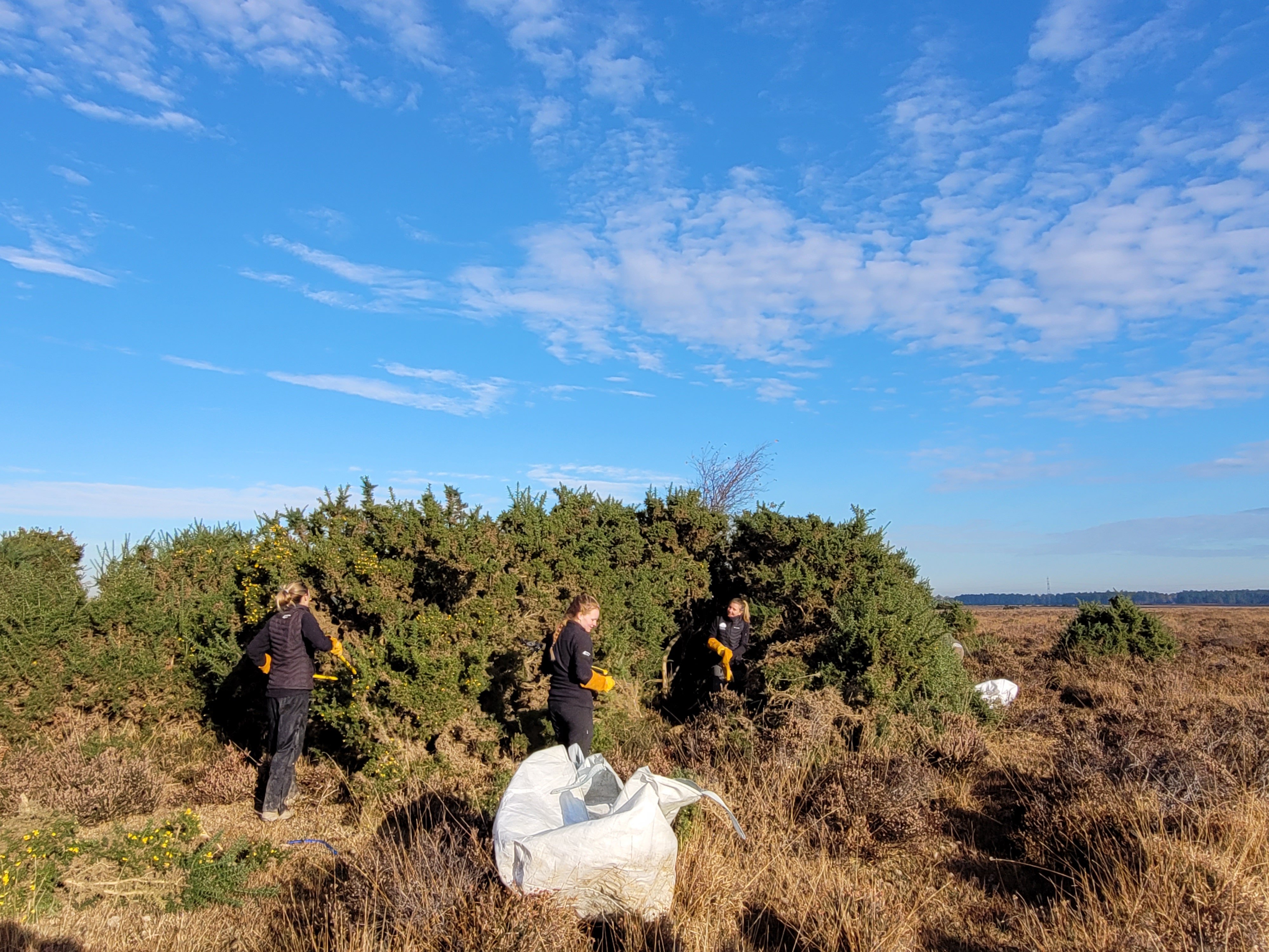 NFNPA rangers clearing an archeological site sunny vols