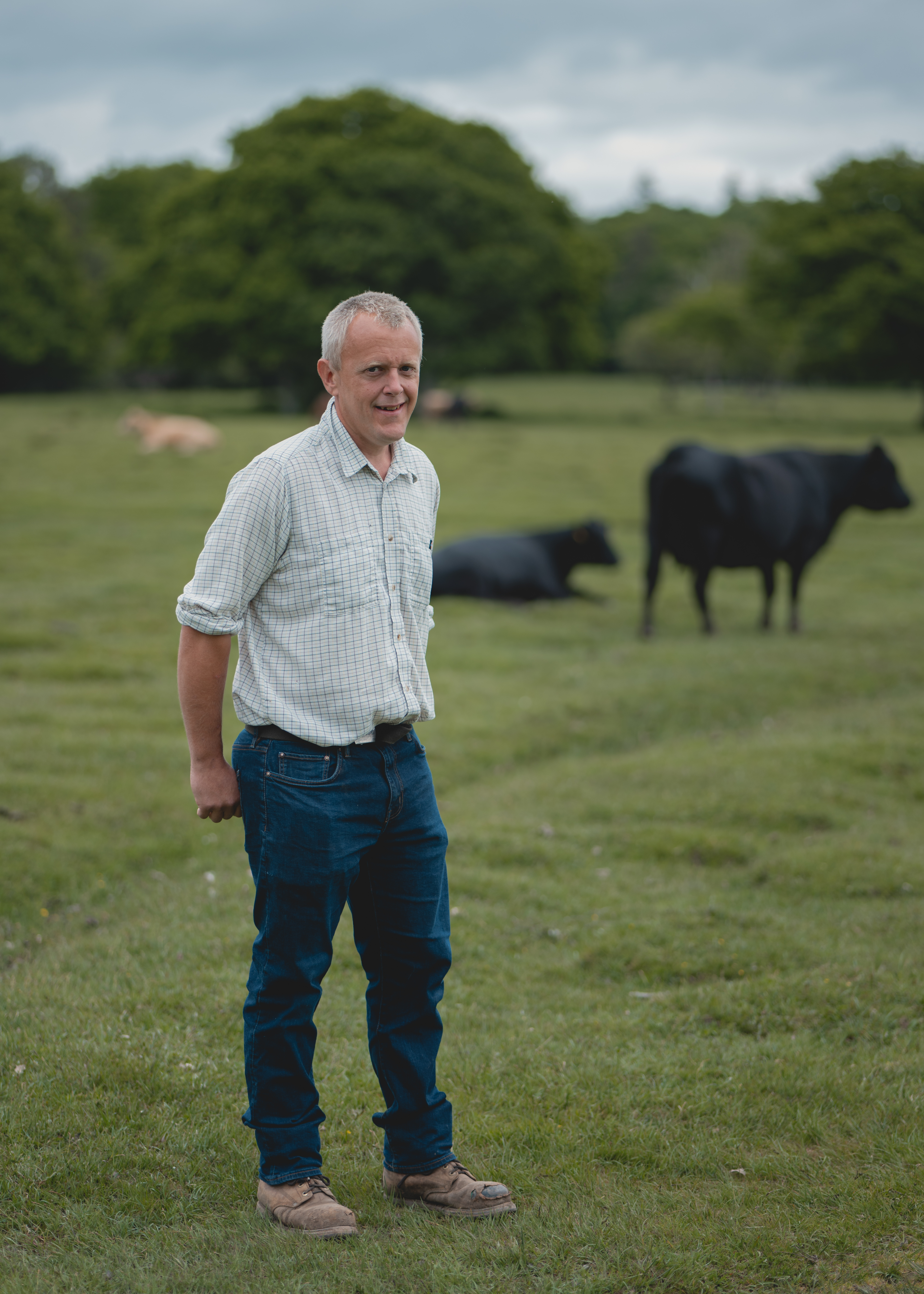 Peter Niccolls with his herd Peter Niccolls with his herd