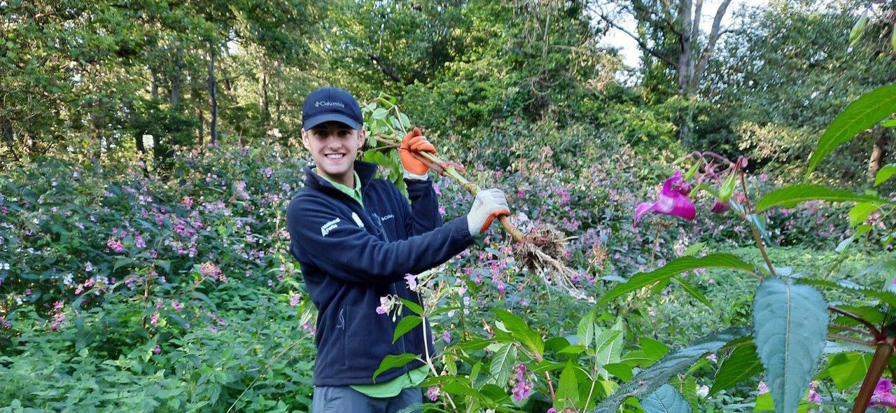 Man pulling up plants