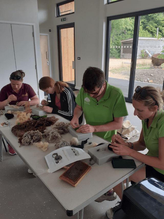 Two national park rangers and two course goers crafting with wool