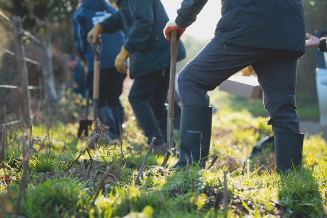 Volunteers digging up grassy ground