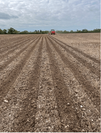 Clean & cultivated strip Picture 2 2022-11-15 10_41_17